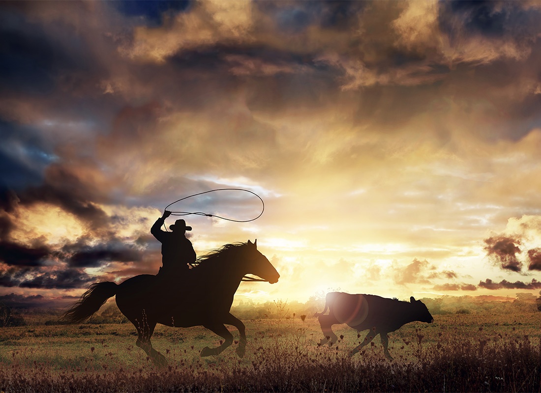 Insurance Solutions - View of a Cowboy with a Rope Riding on a Horse Chasing Down a Calf on a Field at Sunset in the Texas Countryside